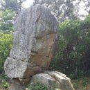 입석1구 네이버블로그