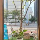 해피메이트 이미지