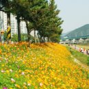 광려천 힐링산책로 이미지