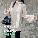 여름 장마철 출근룩 치트키! 아르토 긴팔 여리핏 보트넥 니트 후기