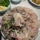 마창수산직영횟집내외점 | 경남 김해 내외동 로컬맛집, 내외동 횟집 : 마창수산