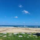 명파 해변 오토캠핑장 | 반려견 동반가능, 명파해변오토캠핑장 방문기(ft.애&amp;개육아)