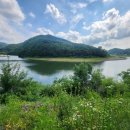 남춘천IC부동산중개 | 파크, 오션월드 5분 거리, 홍천강이 한눈에 내려다보이는 고급 별 장터, 강촌 IC 남춘천 IC15분 거리,