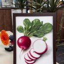 예쁜꽃그리기(보테니컬아트) | 초등생 보태니컬 아트 색연필화 김해 율하미술학원 제니스화실