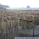 독도전망삭도시설(케이블카) 이미지