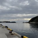 신화여객 | 대마도배편 예약 겨울 여행지 추천 1박 2일 히타카츠항 후기