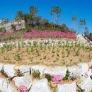 이순신공원(기상대) 이미지