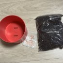 빵울토마토 쑥쑥 일지 그리고 나