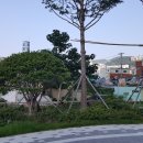 오동탕 이미지