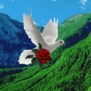 시인의마음 이미지