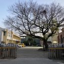 조치원전통시장 이미지