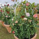 경기정원박람회 다녀왔어요 이미지