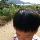 유준농장 이미지