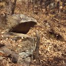 예술이네 이미지