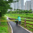 온천2동-13 이미지