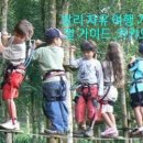인사이트리