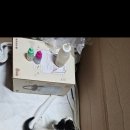 꽁냥이놀이터 이미지