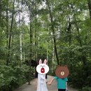 백두산여행 2일차 서파코스, 백두산 천지 봤어요^^