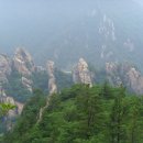 충북 청록산악회 340회차 설악산(흘림골) 8월정기산행 이미지