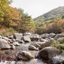 지리산생태체험단지 이미지