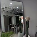 플로정아 이미지