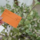 멜론당구장 이미지