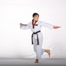 유림태권도장 이미지