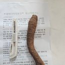 태백더덕직판장