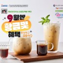 더마켓 데일리안