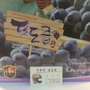 머루네건강원