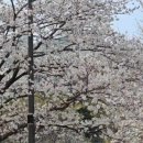 쌍암공원3 이미지
