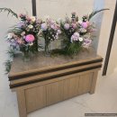 참푸드시스템 정성항공과학고등학교점 | [공지] 27년 견적 공유,서울 중구 신상 마렌지9 웨딩홀 투어 후기