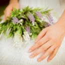 세컨트리 이미지