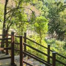 양평쉬자파크 이미지