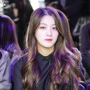 누아 이미지