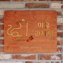 담양 마카롱 카페 미유과자점! 고양이 뚱카롱 귀욤뽀짝♥