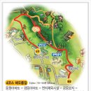 백양산 나들숲길 이미지