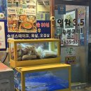 일차3.5숙성고기 이미지