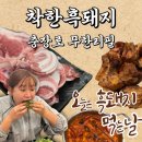 레몬비 병무청점 | [광주 동구] 충장로 무한리필 추천 광주에서 두툼한 흑돼지를!? / 착한흑돼지 충장로 무한리필 고기집 후기