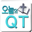 [오늘의 QT] 인간 지혜의 한계 이미지