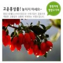 고운슈퍼 이미지