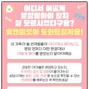 천안 고양이분양 도로시펫 | 천안고양이분양 후기 우리 집에 온 작은 천사, 유앤미펫시흥점에서 시작된 특별한 만남