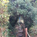 대평올레민박 이미지