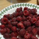 뭉치동물약국 이미지