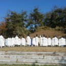 한림상운(주) | 금의琴儀 선조先祖의 시제時祭에 다녀오며