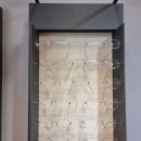 현대자동차 노형점 이미지