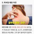 죽순의 효능과 부작용 이미지