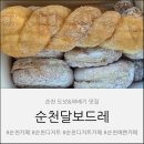 달보드레 | 순천디저트 맛집 달보드레 도넛 후기🍩