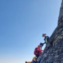 늑대와 여우 이미지