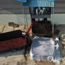 중인농장 이미지